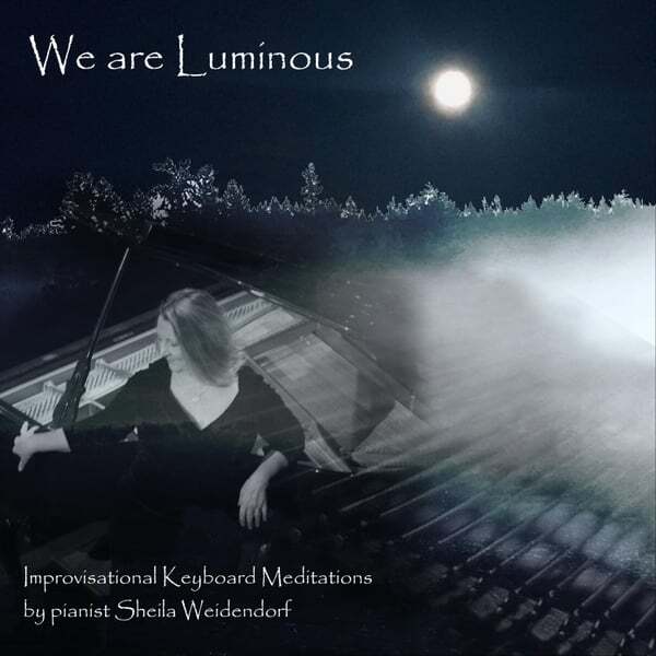 Cover art for We Are Luminous